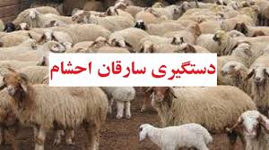 سارقان دام روستای دهشاوردی راین در دام پلیس!