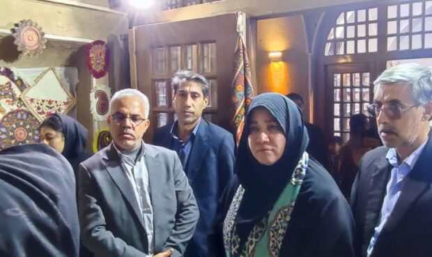 بازدید معاون صنایع دستی وزیر میراث از شهر تاریخی راین بازدید معاون صنایع دستی وزیر میراث از شهر تاریخی راین