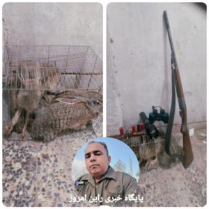 دستگیری شکارچیان خرگوش در راین